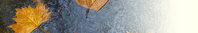 blog-20141013-01.jpg