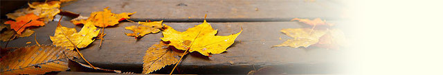 blog-20141018-01.jpg