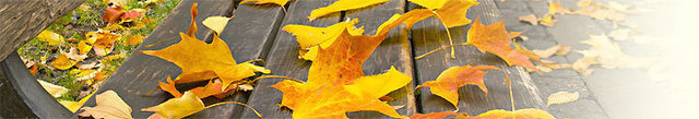 blog-20141030-01.jpg