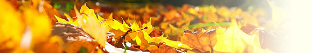 blog-20141107-01.jpg